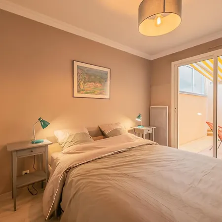 Apartment Avec Grande Terrasse, Garage Et Wifi - Fr-1-197-620